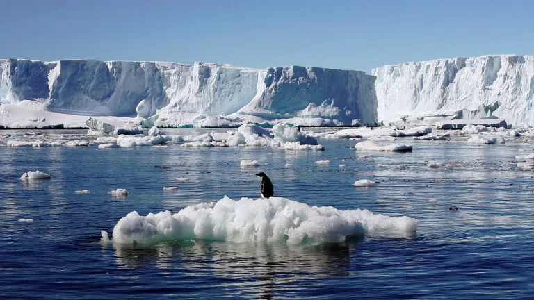 rtx2qs4s eastantarctica reuters web